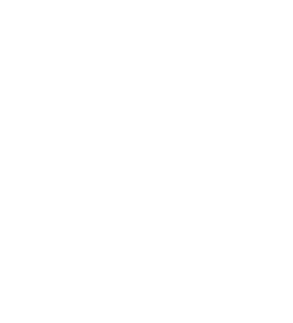 Decorative mandala